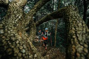 BIB: 
                            <button type="button" onclick="openModal(25703866)" class="btn btn-primary btn-sm float-right btn-popup" data-toggle="modal" data-target=".modal-high-quality">
                        <i class="fas fa-shopping-cart"></i> Add to Cart
                    </button>
                                            <button type="button" onclick="isThisMe(25703866, true)" class="btn btn-success btn-sm float-right btn-popup btn-isme hidden" data-toggle="tooltip" data-placement="bottom" title="นี่คือรูปของคุณใช่ไหม คลิกที่นี่เพื่อเอาเข้าอัลบั้ม">
                        <i class="fas fa-plus"></i> Add to album
                    </button>
                    <button type="button" onclick="isThisMe(25703866, false)" class="btn btn-warning btn-sm float-right btn-popup btn-isnotme hidden">
                        <i class="fas fa-ban"></i> Remove from album
                    </button>